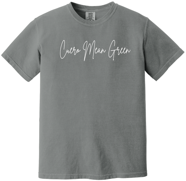 2025 - Mean Green Volleyball Gray Shirt short sleeve